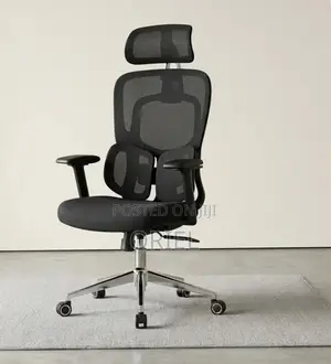 Ergonomic Office Chair : Executive Lumbar Support Office Chair