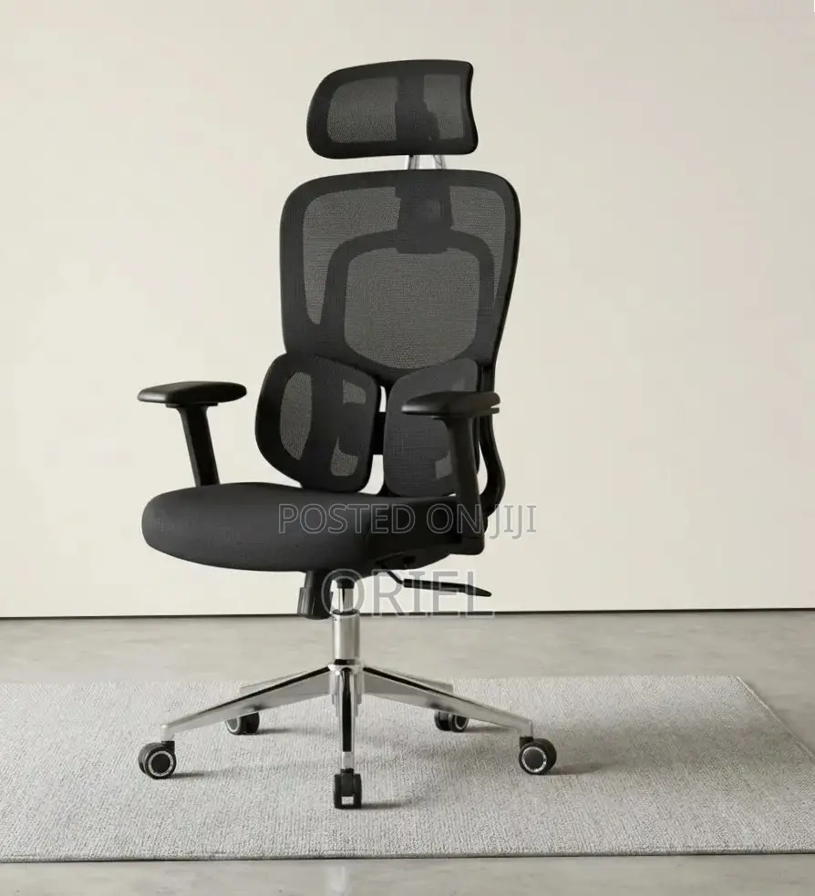 Ergonomic Office Chair : Executive Lumbar Support Office Chair