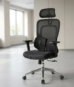 Ergonomic Office Chair : Executive Lumbar Support Office Chair