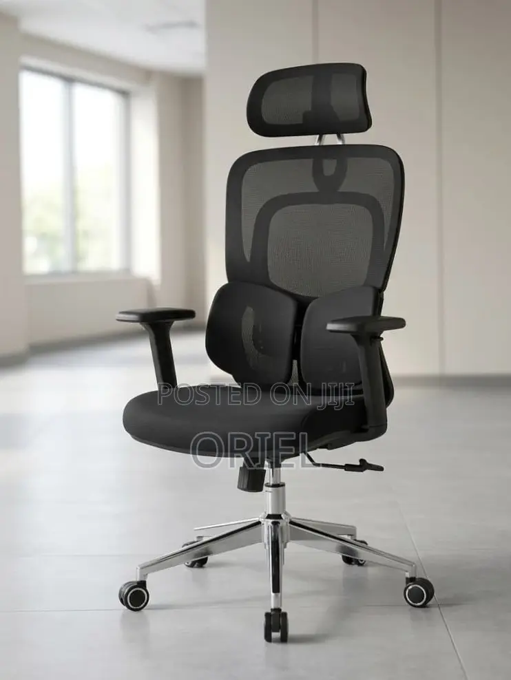 Ergonomic Office Chair : Executive Lumbar Support Office Chair