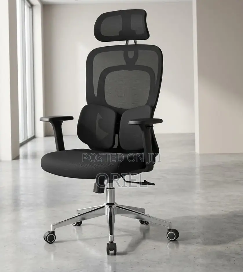 Ergonomic Office Chair : Executive Lumbar Support Office Chair
