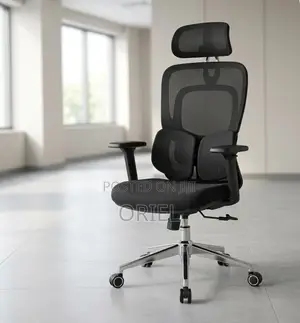 Ergonomic Office Chair : Executive Lumbar Support Office Chair