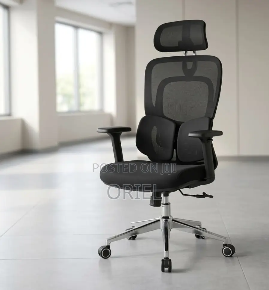 Ergonomic Office Chair : Executive Lumbar Support Office Chair