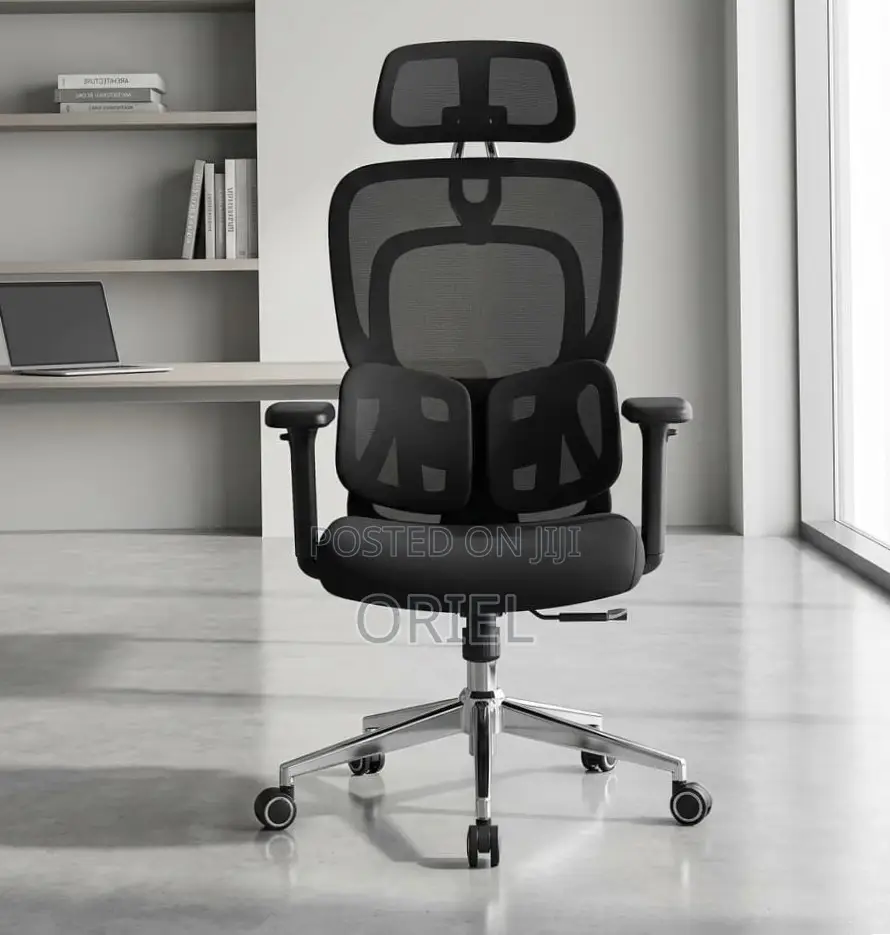 Ergonomic Office Chair : Executive Lumbar Support Office Chair