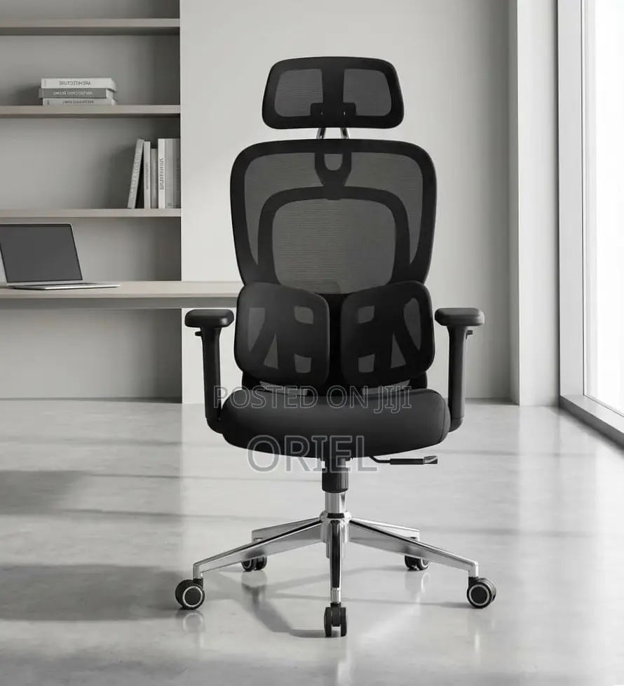 Ergonomic Office Chair : Executive Lumbar Support Office Chair