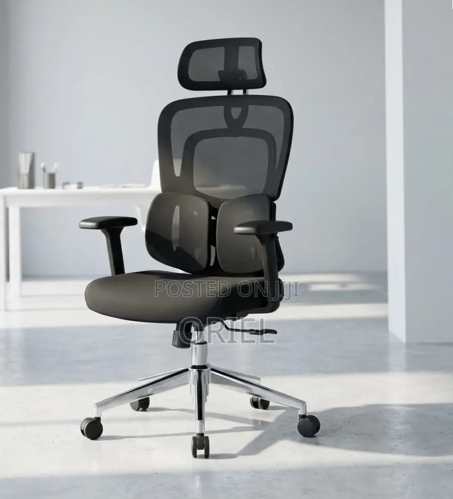 Ergonomic Office Chair : Executive Lumbar Support Office Chair