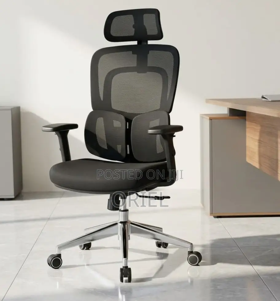 Ergonomic Office Chair : Executive Lumbar Support Office Chair