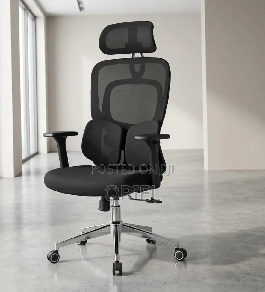Ergonomic Office Chair : Executive Lumbar Support Office Chair