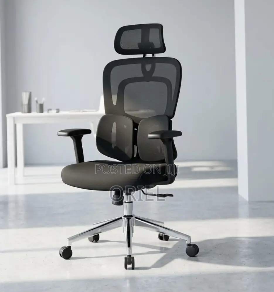 Ergonomic Office Chair : Executive Lumbar Support Office Chair