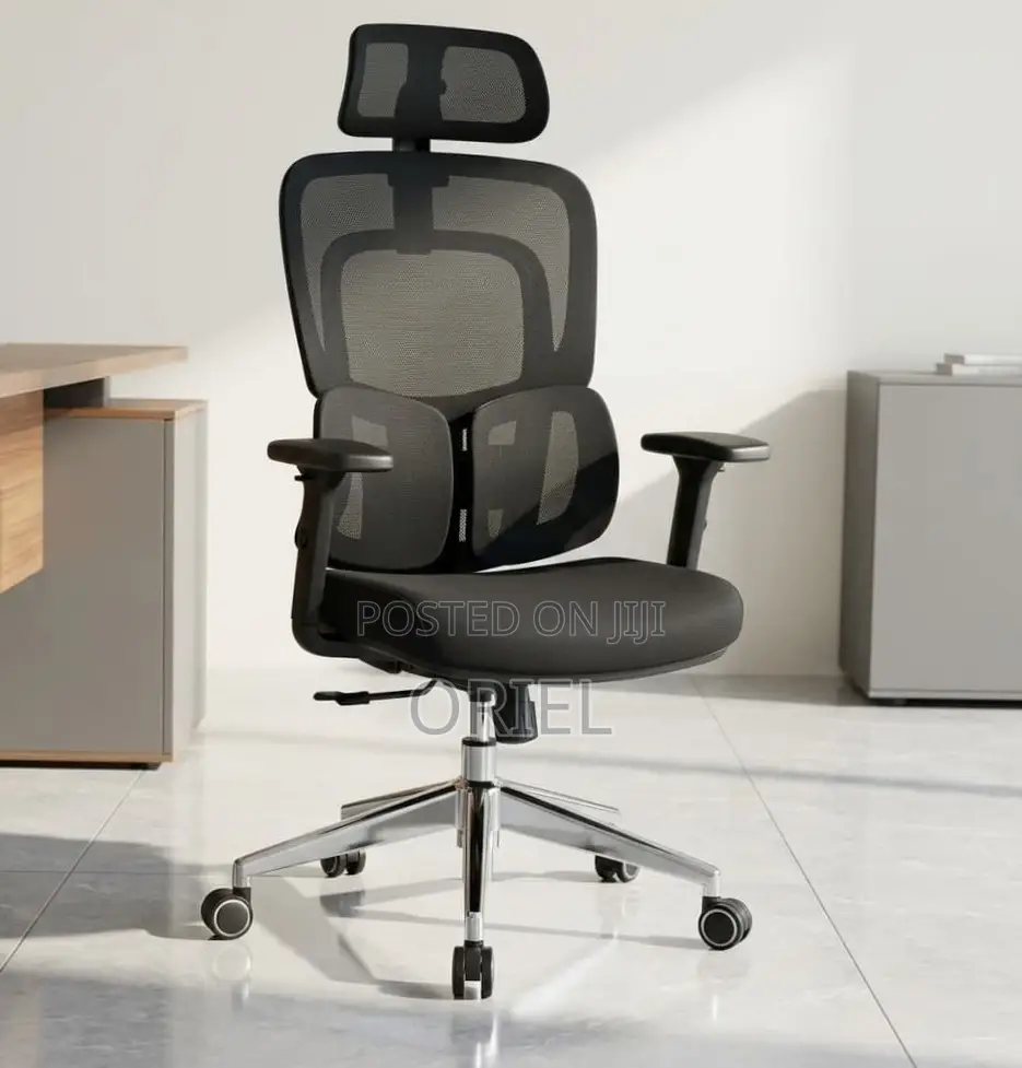 Ergonomic Office Chair : Executive Lumbar Support Office Chair