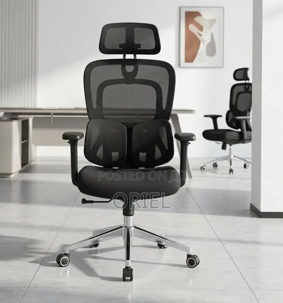 Ergonomic Office Chair : Executive Lumbar Support Office Chair