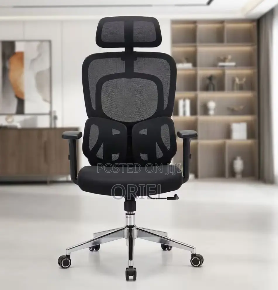 Ergonomic Office Chair : Executive Lumbar Support Office Chair