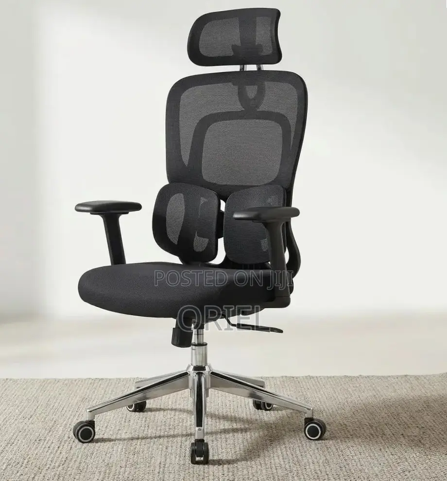 Ergonomic Office Chair : Executive Lumbar Support Office Chair