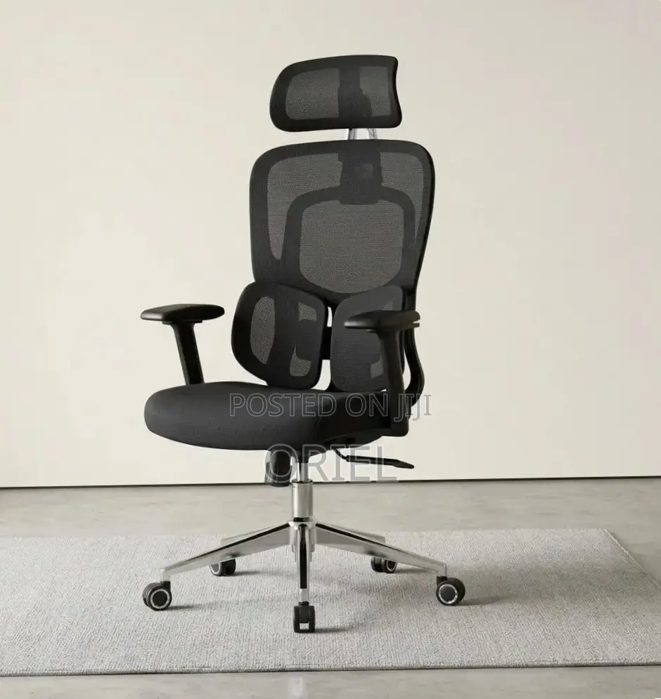 Ergonomic Office Chair : Executive Lumbar Support Office Chair