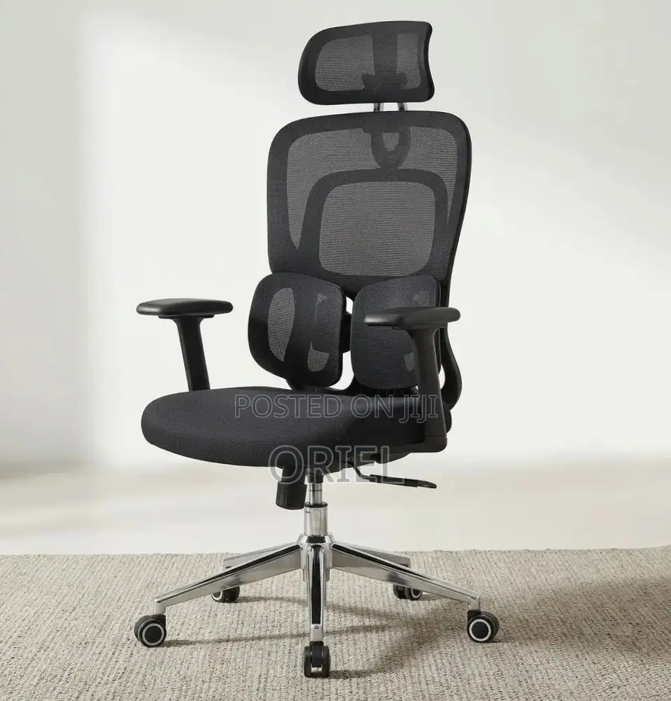 Ergonomic Office Chair : Executive Lumbar Support Office Chair