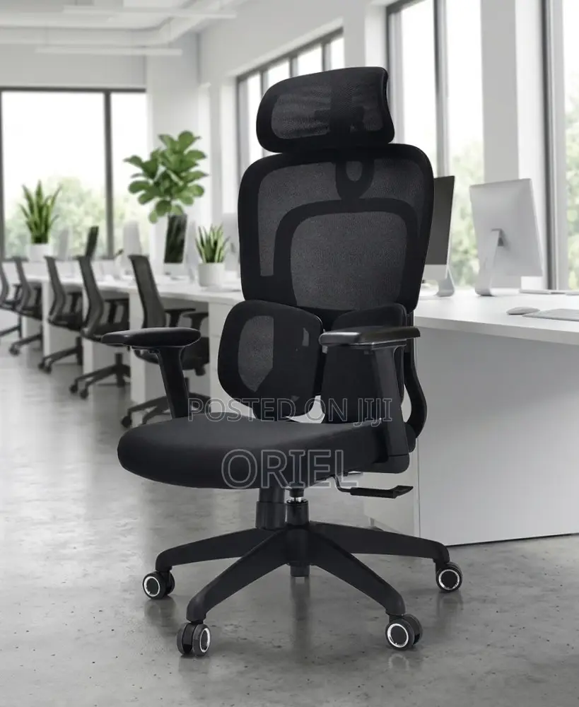 Ergonomic Office Chair : Executive Lumbar Support Office Chair