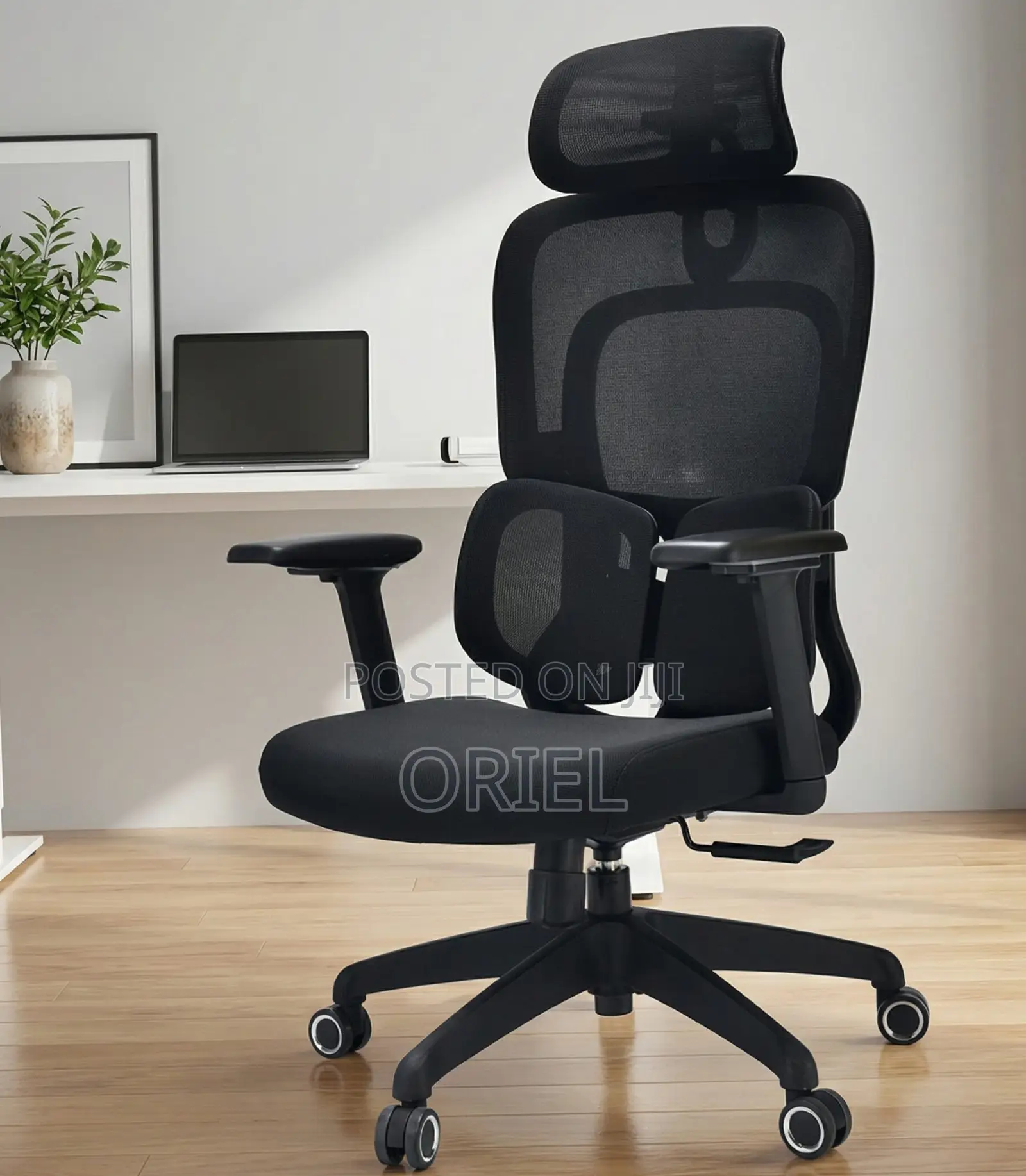 Ergonomic Office Chair : Executive Lumbar Support Office Chair