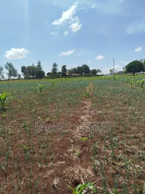 One Acre for Sale in Mweiga