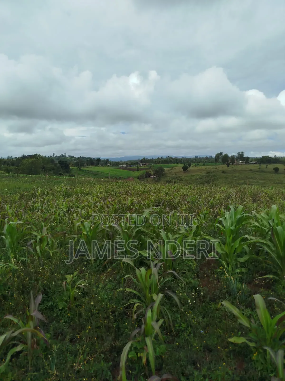 One Acre for Sale in Mweiga