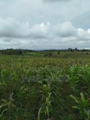One Acre for Sale in Mweiga