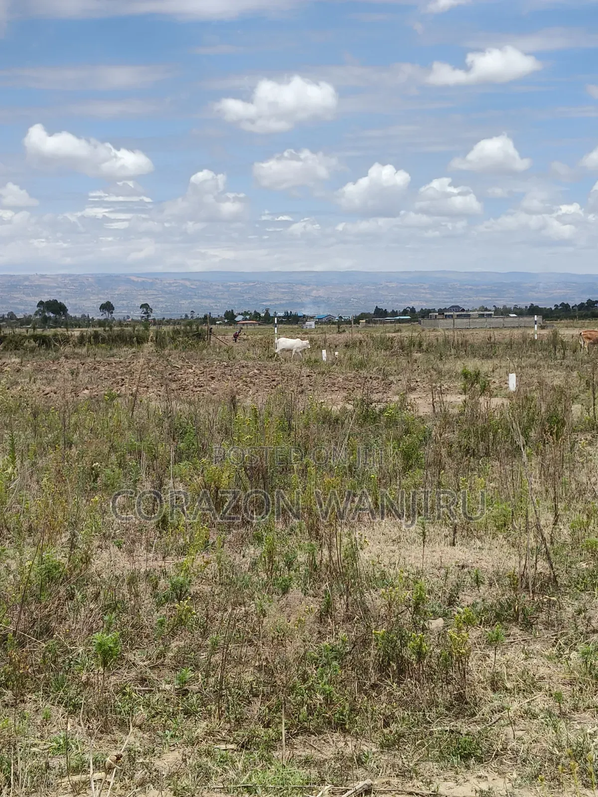 50*100plots in Nakuru,Kongasis