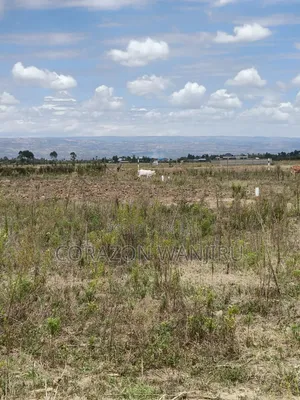 50*100plots in Nakuru,Kongasis