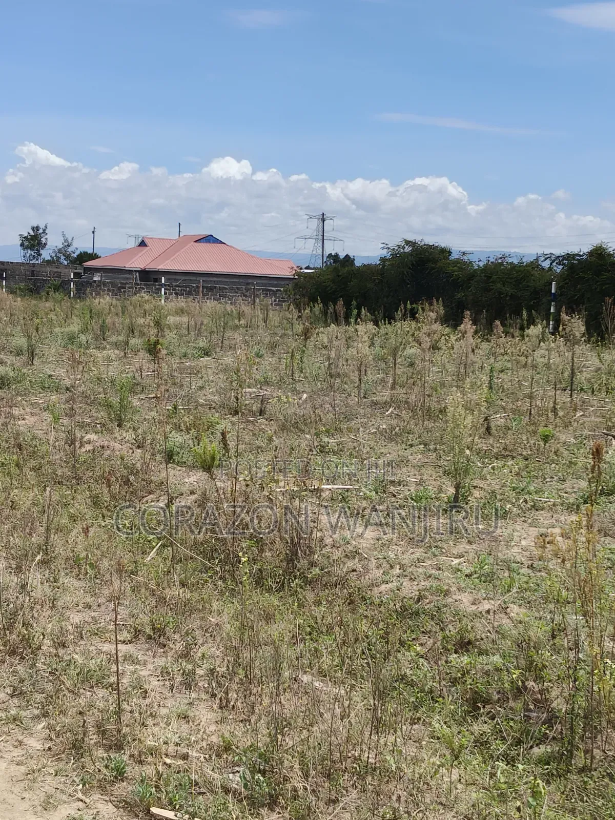 50*100plots in Nakuru,Kongasis