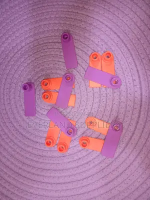 Ear Tags - Bright Numbered Tags