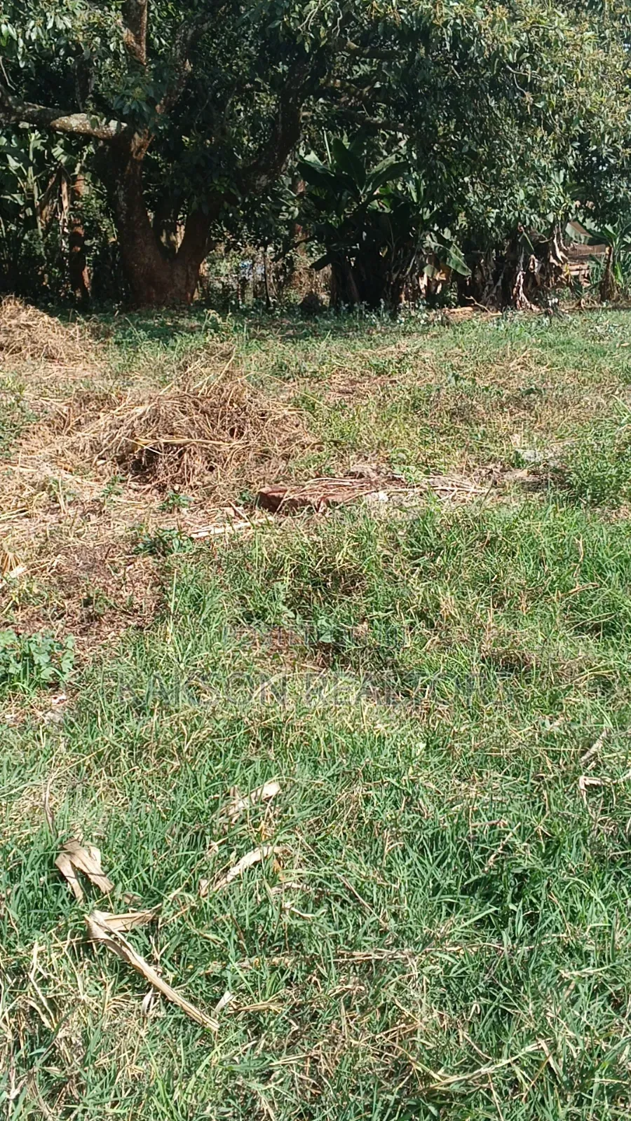 50 by 100 Plot for Sale Lower Kabete Kamuti-Ni Stage