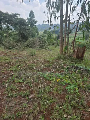 Ready to Build 40*60 Plots in Cura