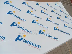 Best Roofing Polycabonate Sheets 6mm