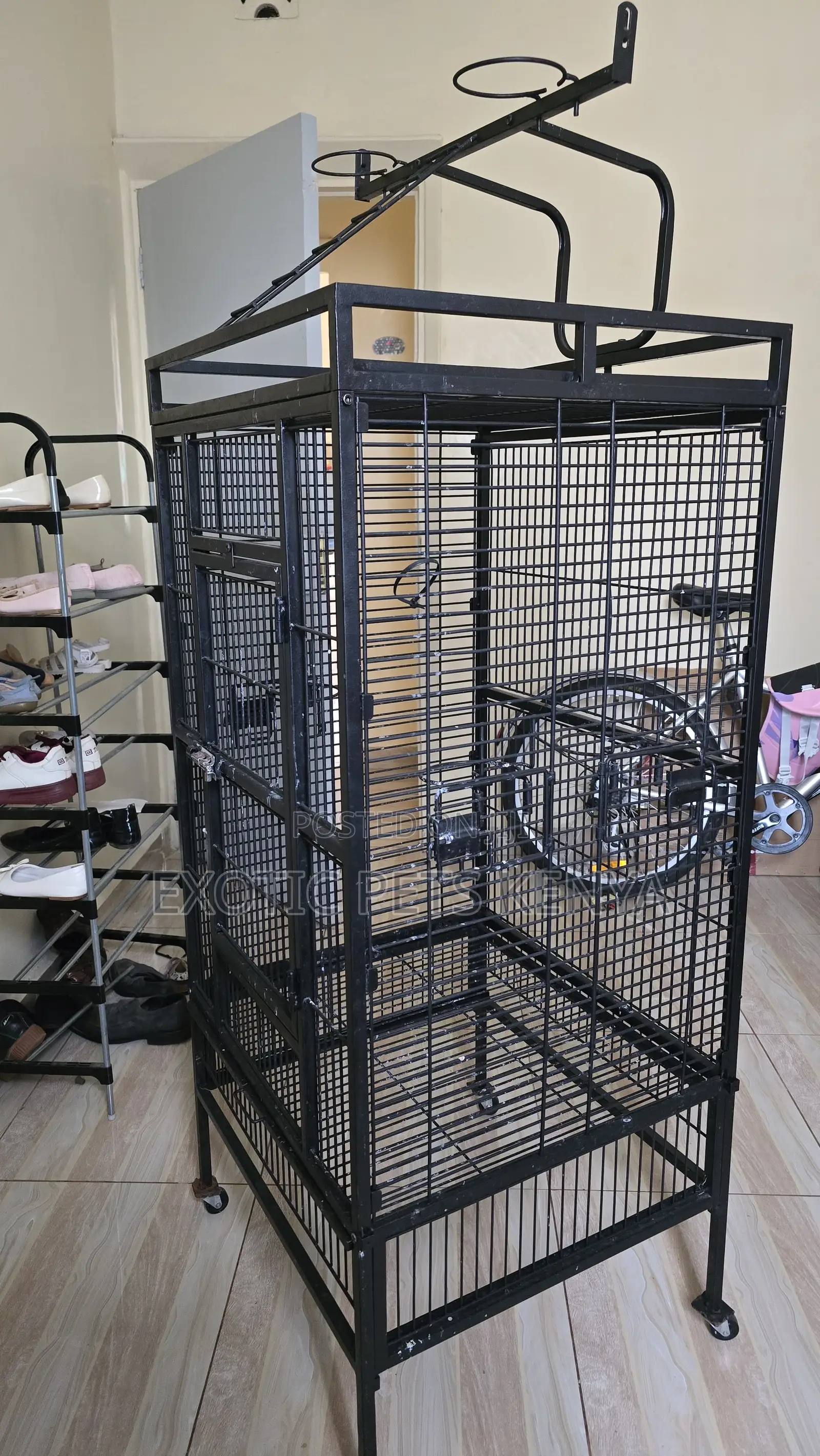 Parrot Cages
