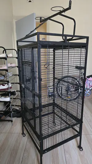 Parrot Cages