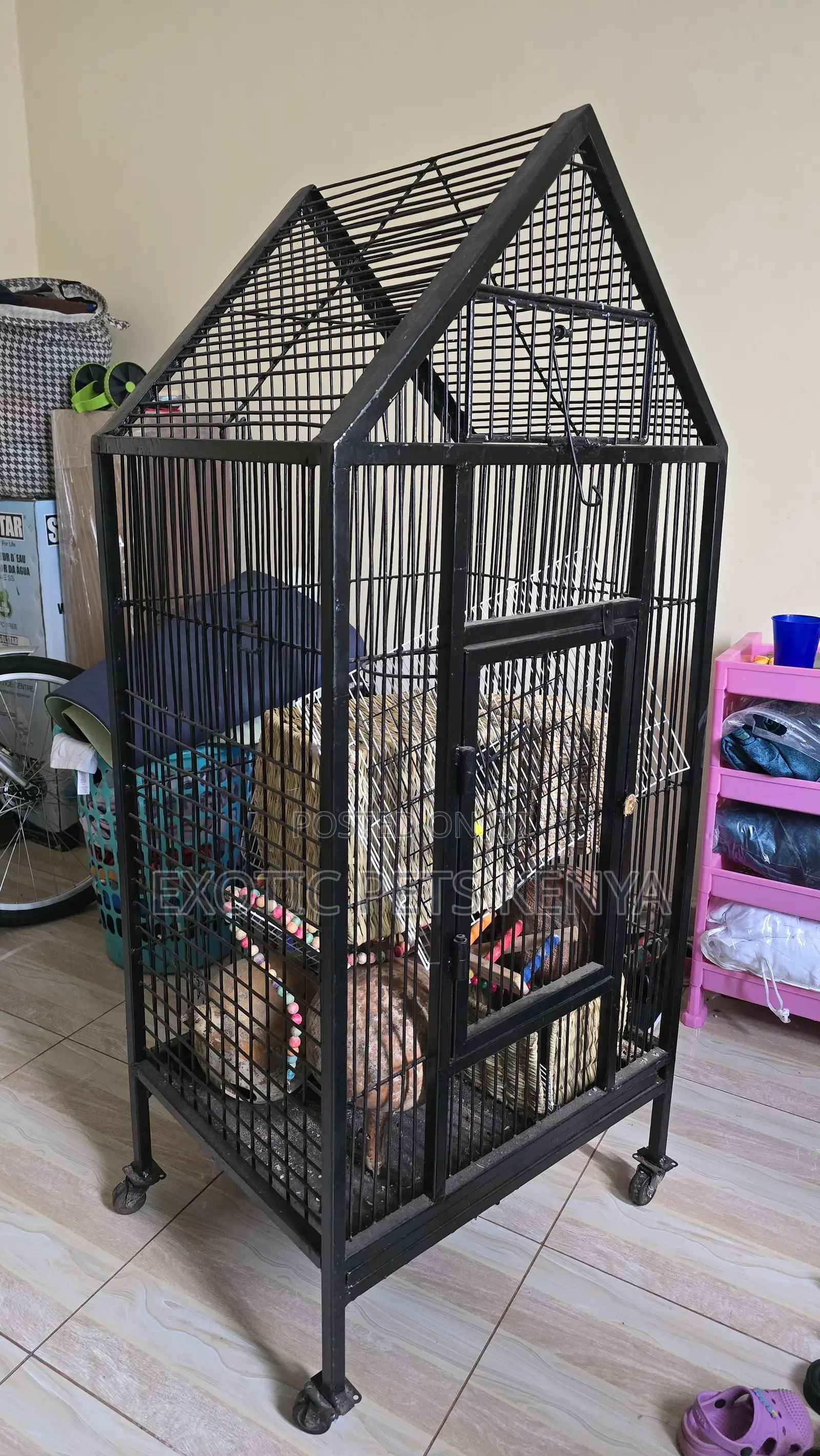 Parrot Cages