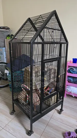 Parrot Cages