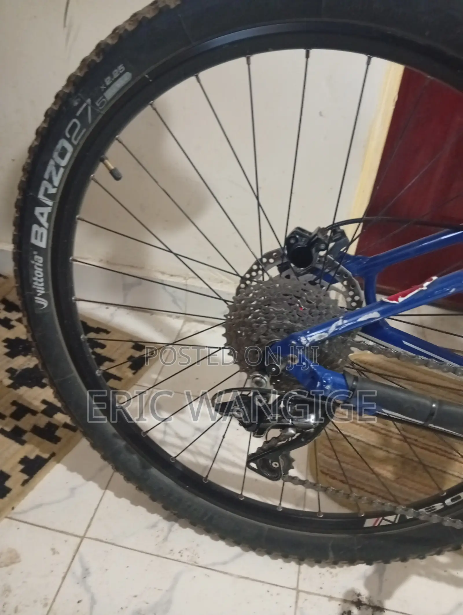 Specialized Mountain Bike