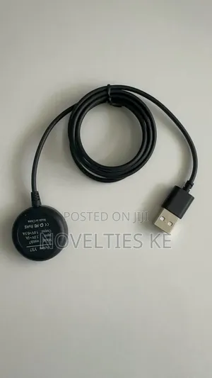 Portable Magnetic Watch Charger