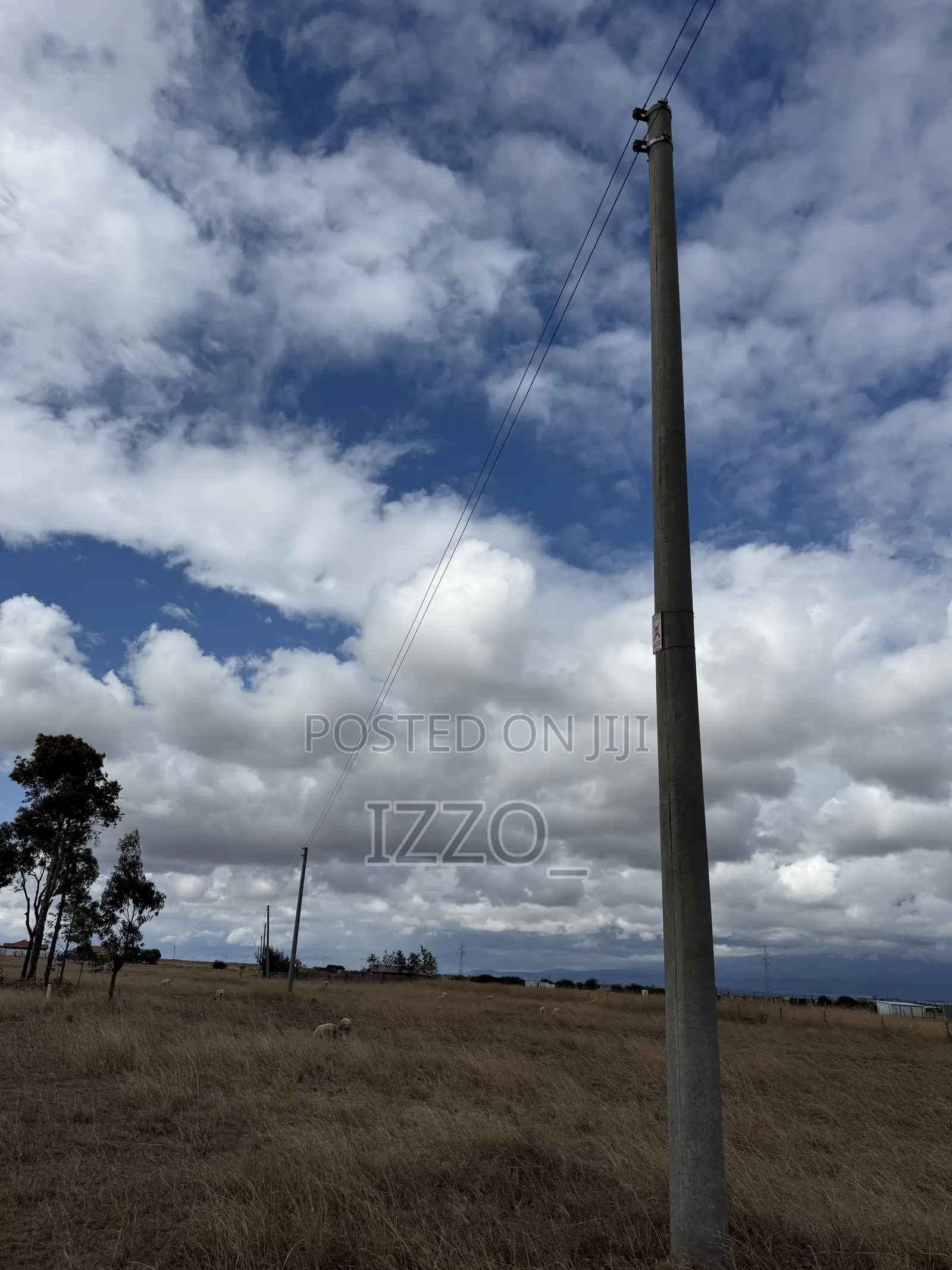 Prime 1/4 Acre Plot for Sale -Chaka