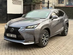 Lexus NX 2014 Gray