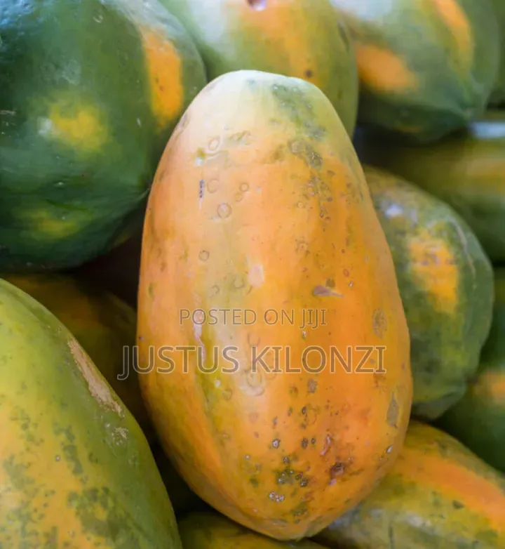Papaya Fruits
