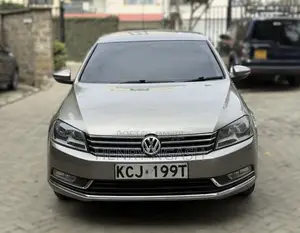 Volkswagen Passat 2014 Brown