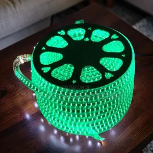 Dynamic 50M Metres SMD Color Green Led Strip Light Snake Light