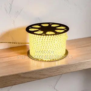 Outdoor 50M Metres SMD Warm White Led Strip Light Snake Light