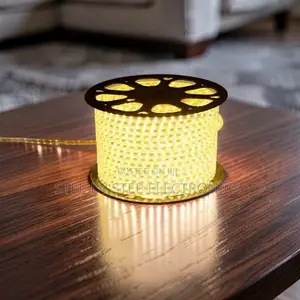 Super Bright 50M Metres SMD Warm White Led Strip Light Snake Light