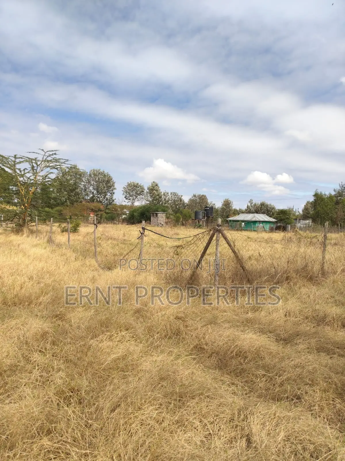Lucky Base, Kitengela Korompoi 50 by 100 
