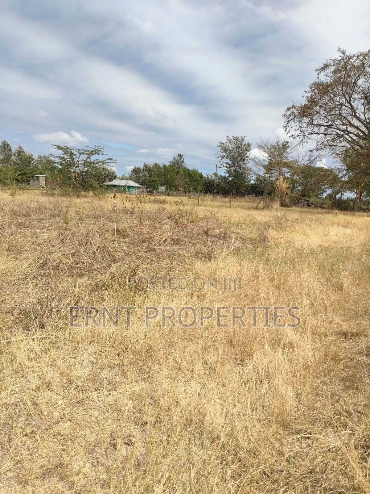 Lucky Base, Kitengela Korompoi 50 by 100 