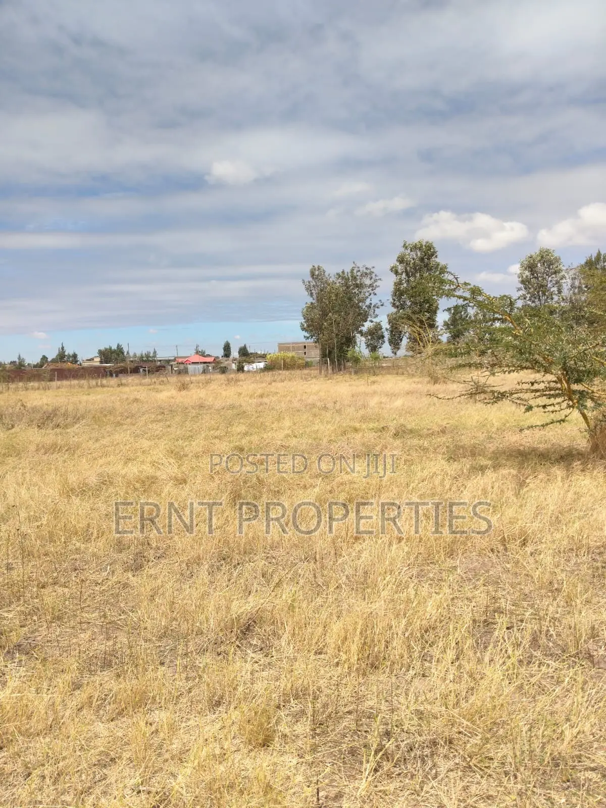 Lucky Base, Kitengela Korompoi 50 by 100 