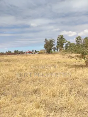 Lucky Base, Kitengela Korompoi 50 by 100 