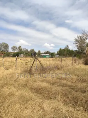 Lucky Base, Kitengela Korompoi 50 by 100 