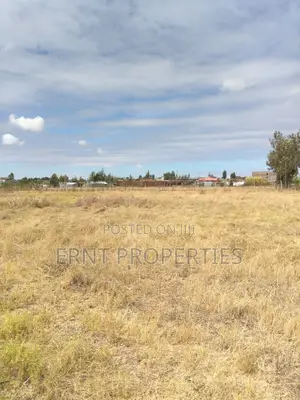Lucky Base, Kitengela Korompoi 50 by 100 